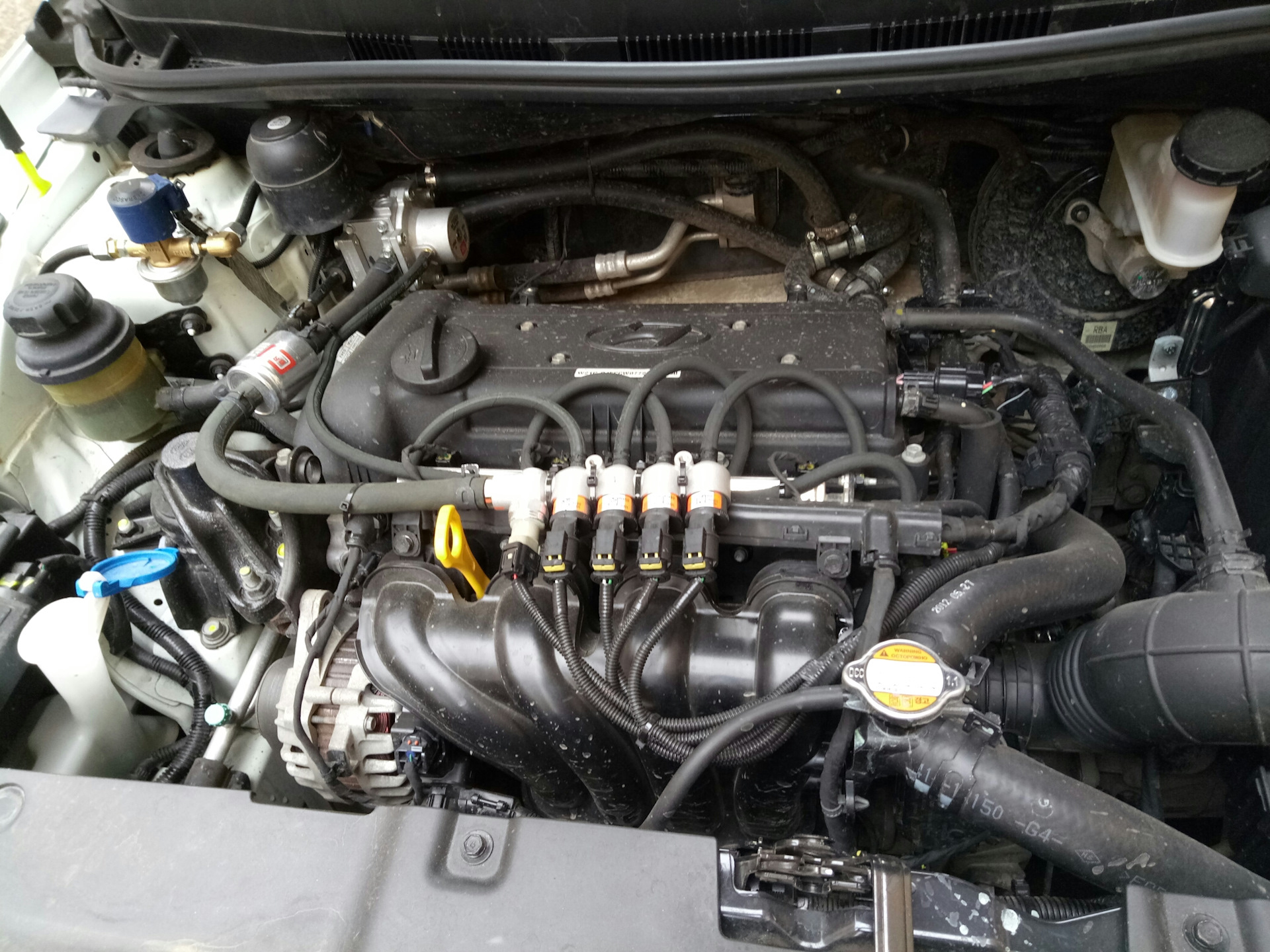 Гбо хендай солярис. ГБО Hyundai Solaris. Форсунки ГБО Солярис 2. ГБО на Солярис 2. ГБО 4 поколения Солярис.