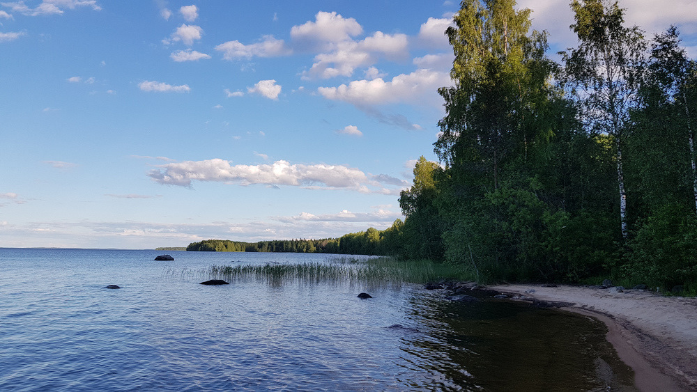 Медвежьегорск фото природы