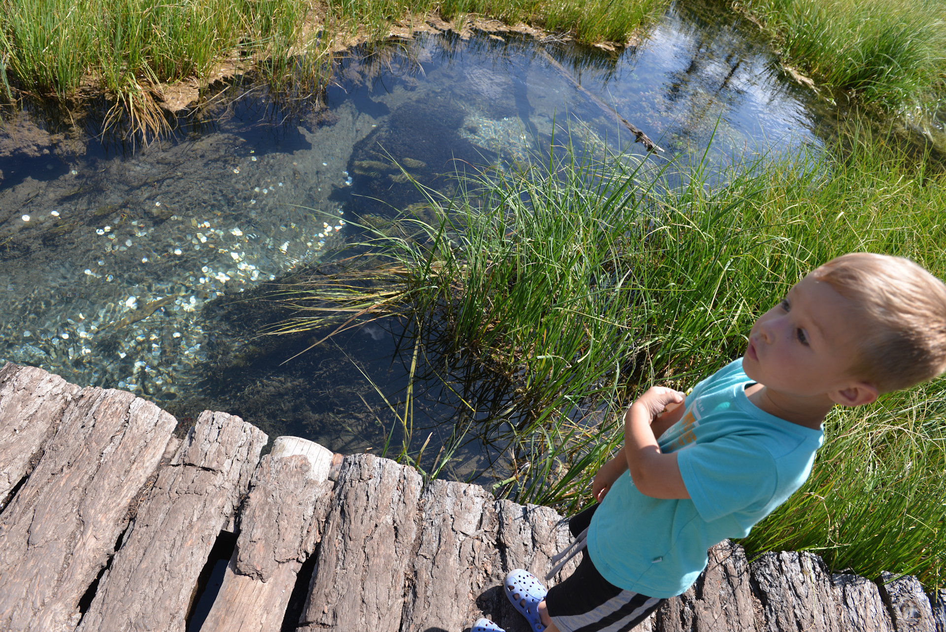 глубокий а ручей. глубокий ручей харьков. глубокий ручей. глубокий ручей. водопад, сухой ручей, прудик.