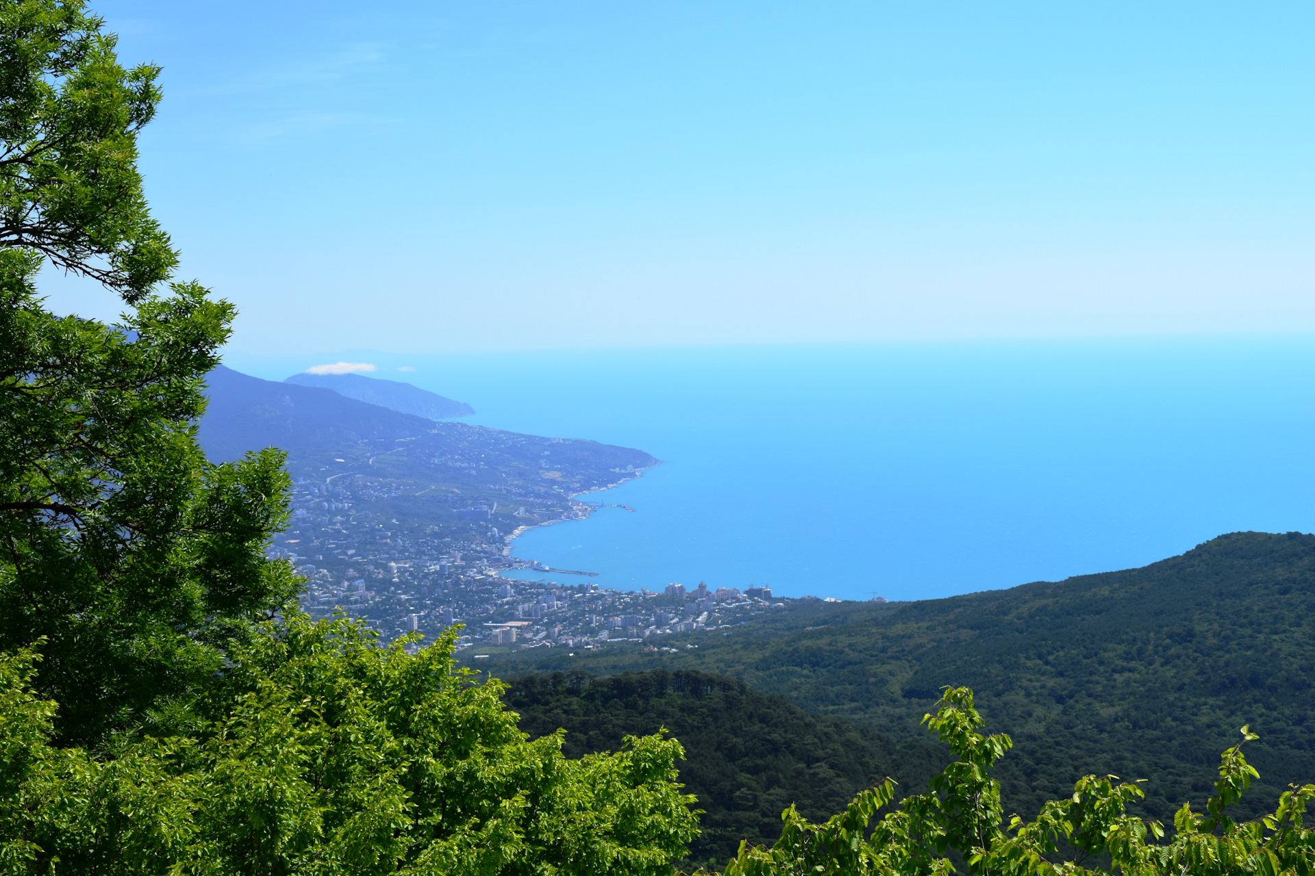 Алушта новый свет. Дорога новый свет Алушта. Алушта природа. Крым вид сверху. Красивые виды Крыма.