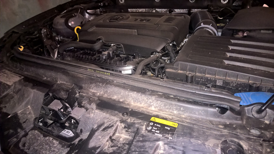 Борьба за чистоту — Skoda Octavia A7 Mk3, 1,8 л, 2017 года | аксессуары ...