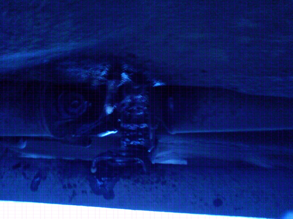 Обожаю запах ВДшки по утру, или что там звенело под сиденьем — Lada ...