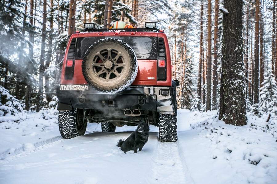 Фото в бортжурнале Hummer H2