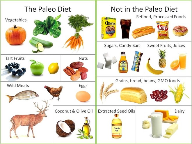 Dieta Paleo: hranirea ca in epoca de piatra - Alphega