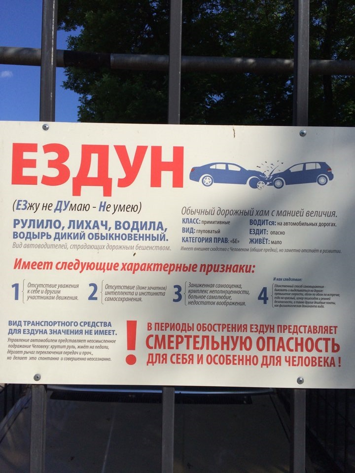 Зоопарк Липецк — Volkswagen Polo Sedan, 1,6 л, 2013 года | прикол | DRIVE2