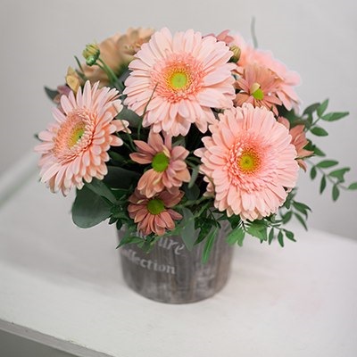 Фото в бортжурнале Subaru Forester (SG)