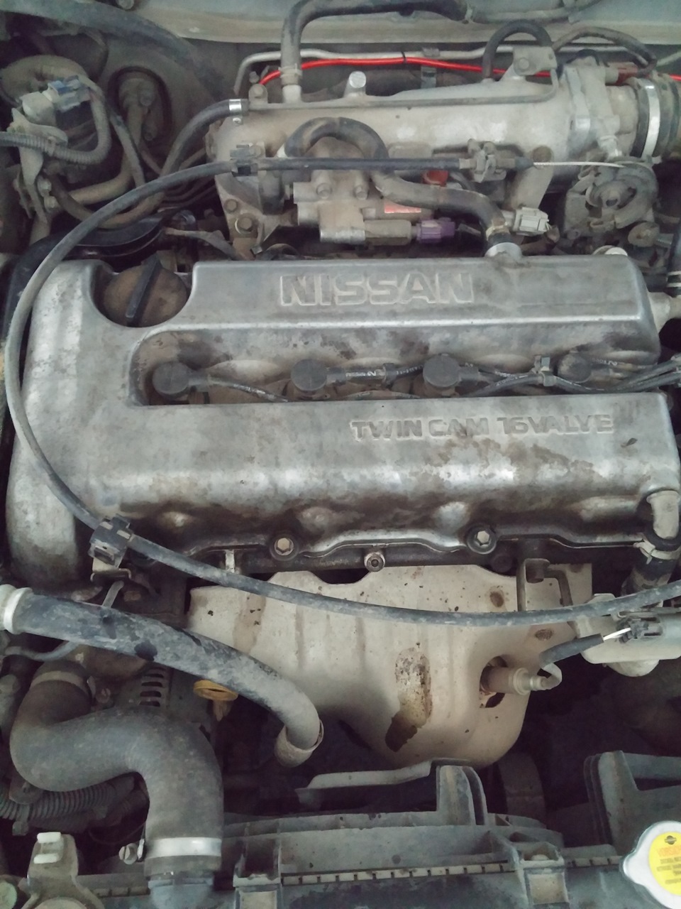 Прокладка крышки клапанов — Nissan Primera (P11), 2 л, 1998 года ...