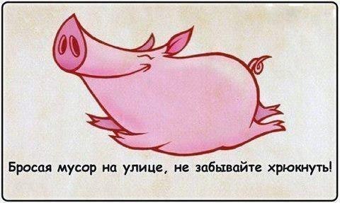 убирайте за собой мусор картинки онлайн убирайте за собой мусор картинки
