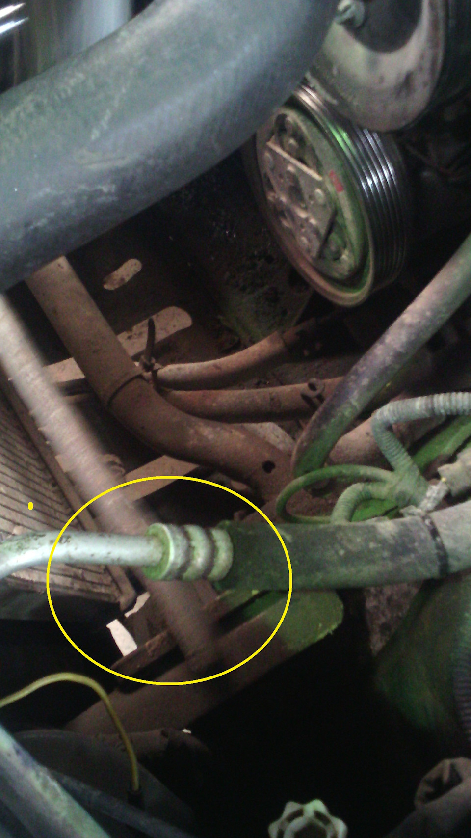 Фото в бортжурнале SsangYong Musso