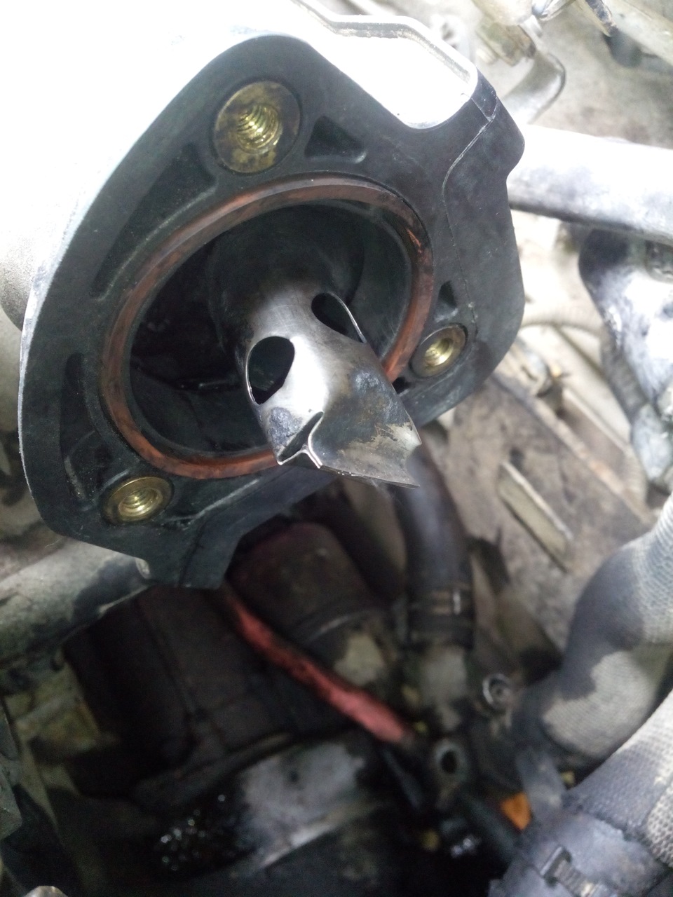 Фото в бортжурнале FIAT Doblo (1G)