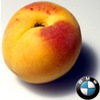Zazhimy Na Zadnie Tormoza M Bmw 5 Series 3 0 L 1997 Goda Na Drive2