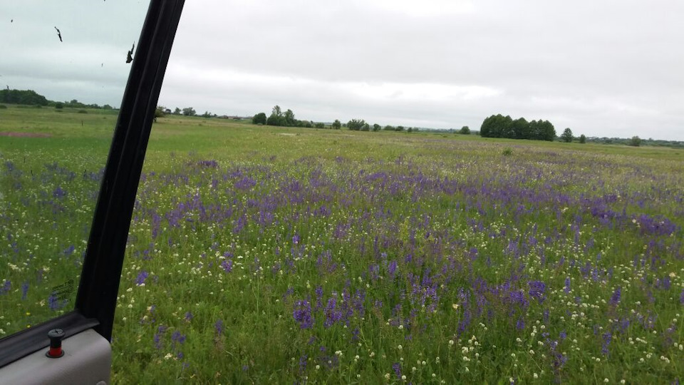 Фото в бортжурнале УАЗ Patriot