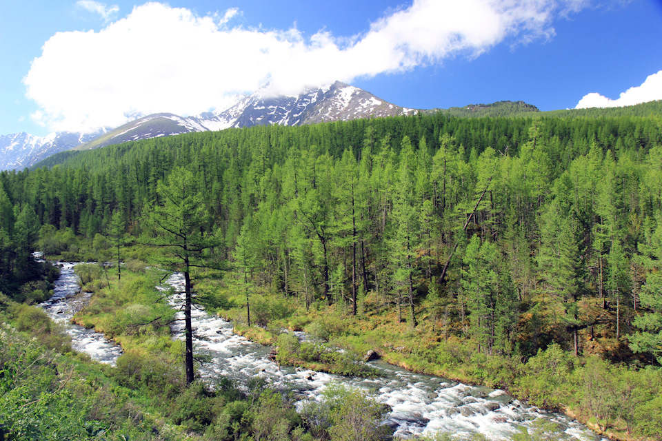 Водопад куйгук алтай как добраться на машине. Смотреть фото Водопад куйгук алтай как добраться на машине. Смотреть картинку Водопад куйгук алтай как добраться на машине. Картинка про Водопад куйгук алтай как добраться на машине. Фото Водопад куйгук алтай как добраться на машине