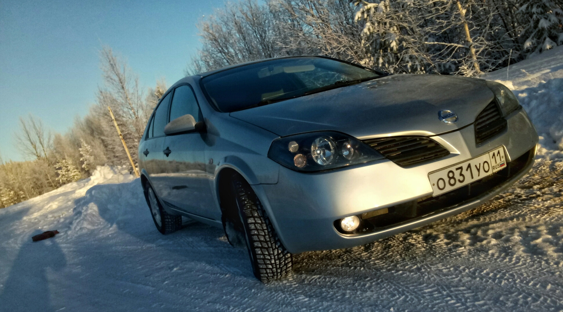 Ниссан примера хабаровск. Хром Nissan primera p12. Ниссан Альмера Классик антихром. Ниссан примера зеленый металлик. Ниссан Тиида антихром.