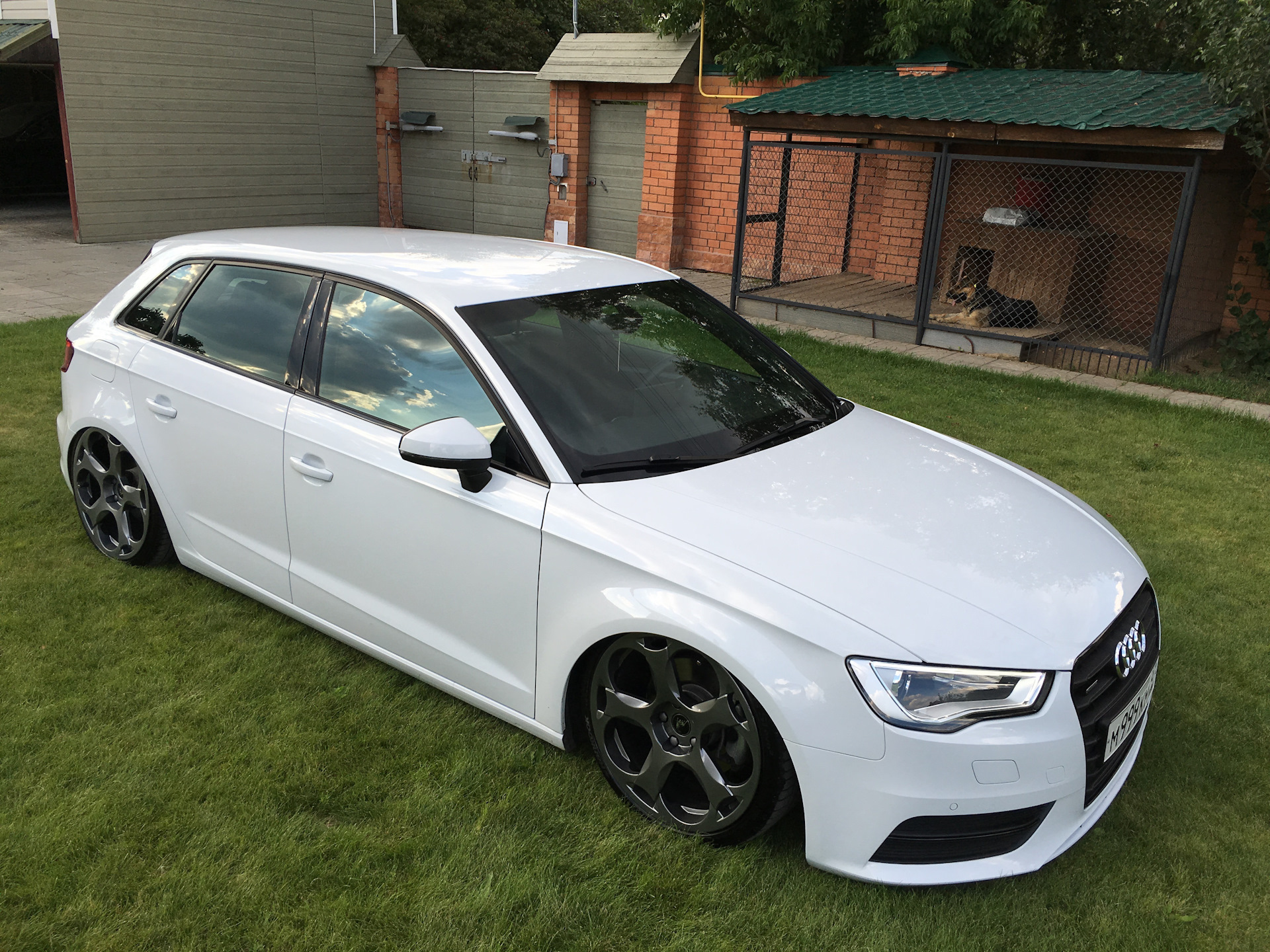 Audi a3 8v. Audi a3 stance. Audi a3 8v Sportback.