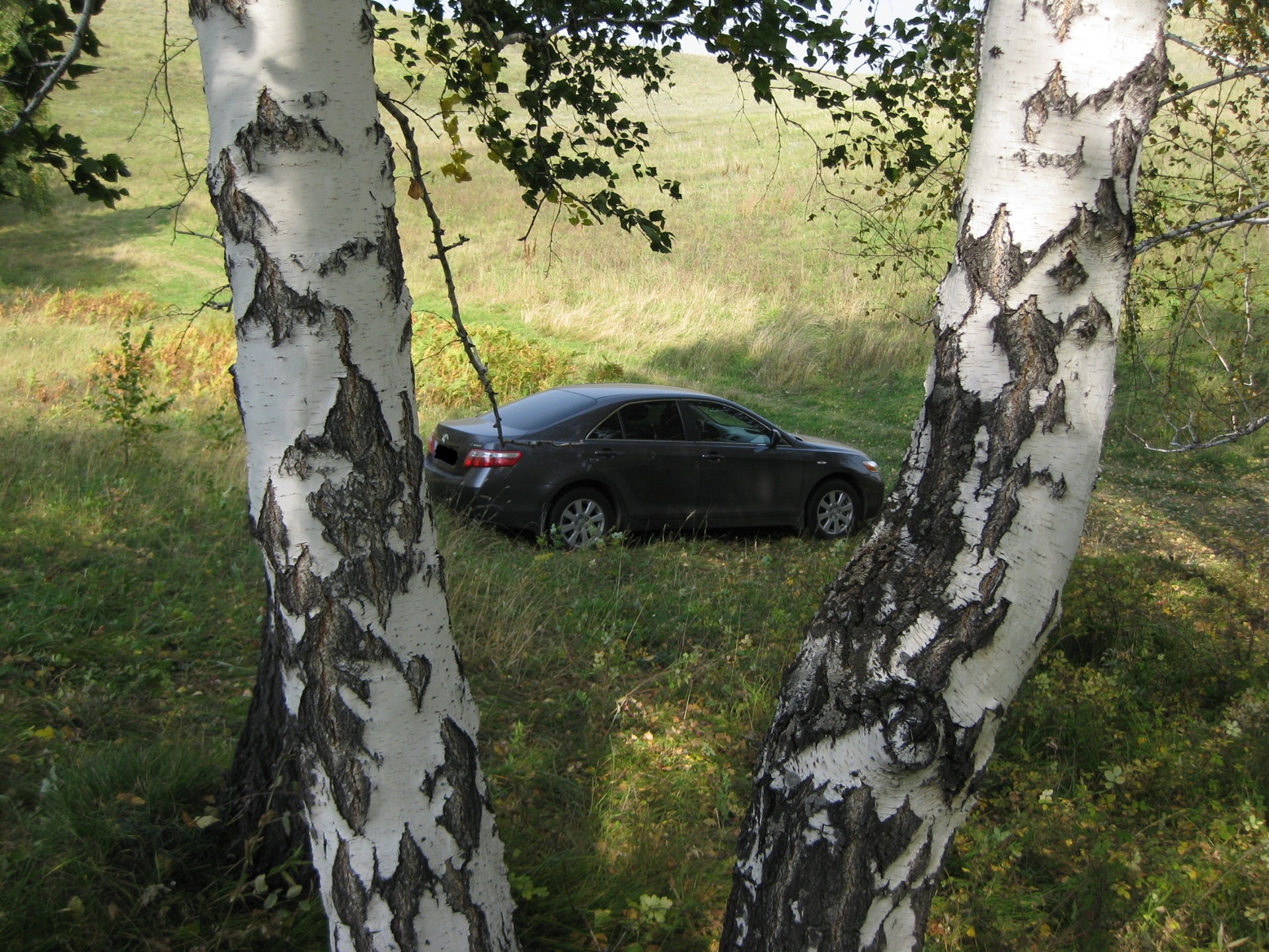   Toyota Camry 24 2008 