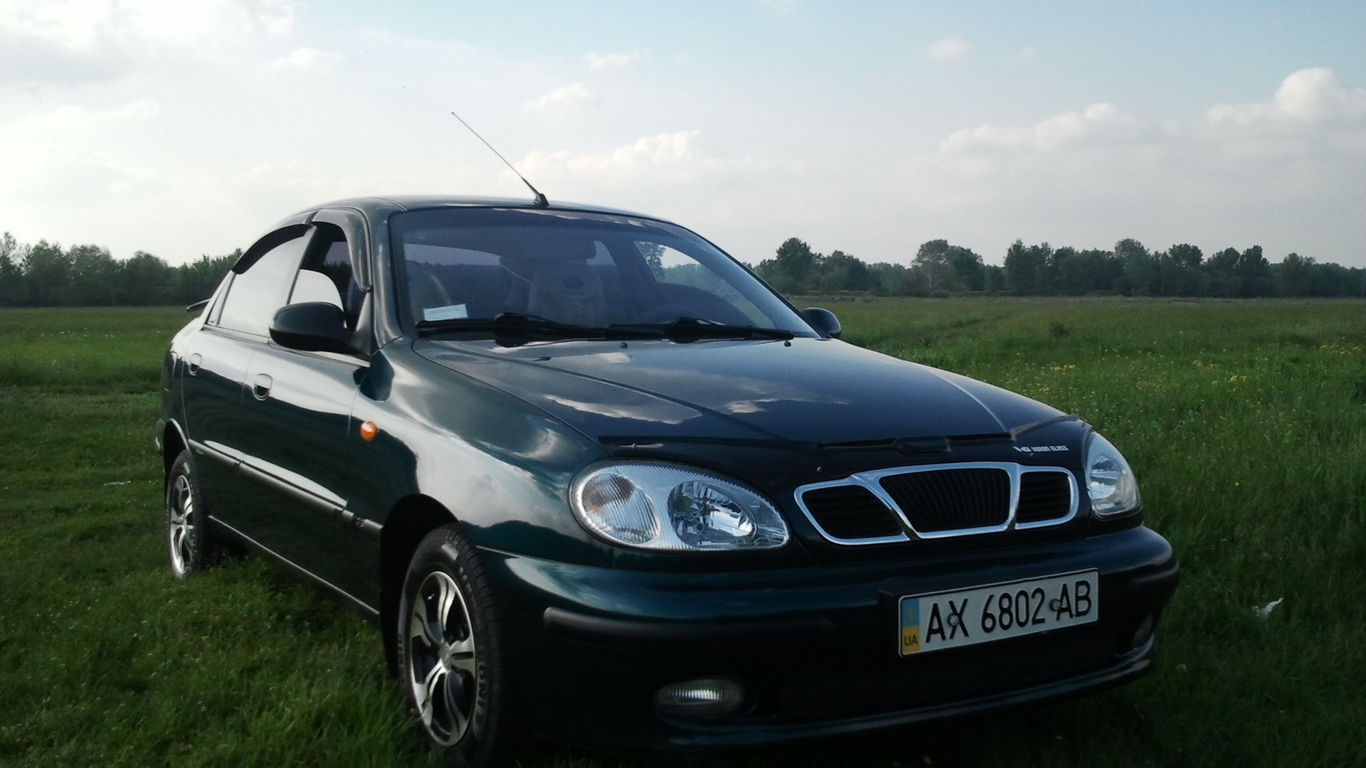 Daewoo Sens 1.3 бензиновый 2004 | Зелёный металлик на DRIVE2