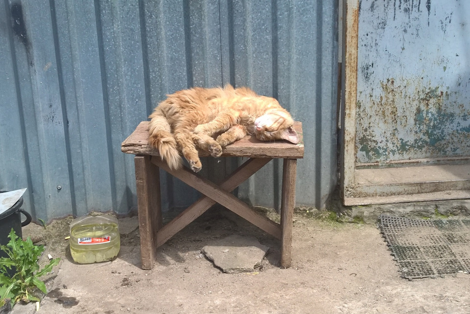 Фото в бортжурнале Subaru Legacy (BL/BP)