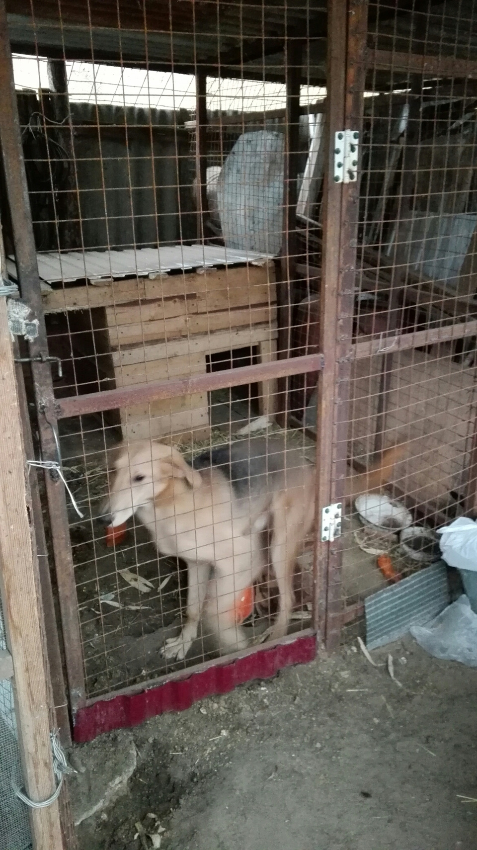 раннее субботнее утро — УАЗ 31519, 2,9 л, 2000 года | путешествие | DRIVE2