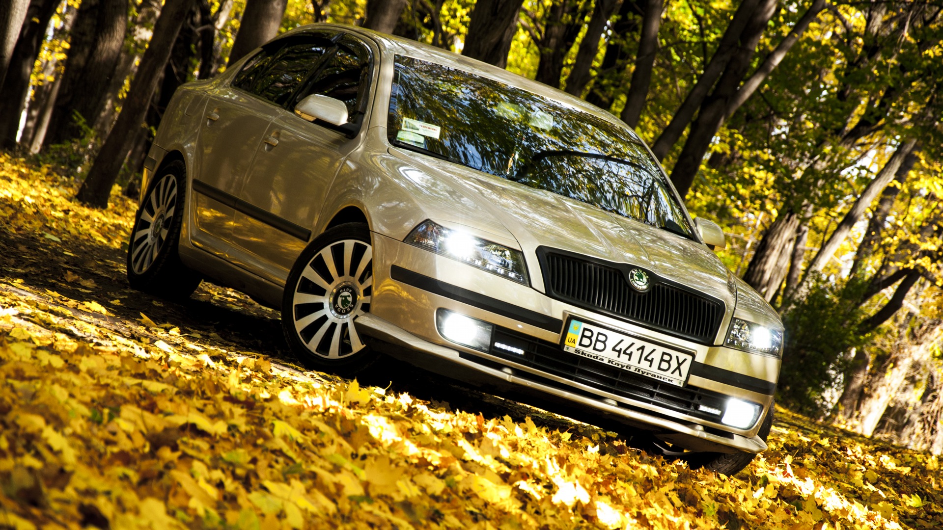 Skoda Octavia A5 Mk2 1.6 бензиновый 2006 | Семейный TaZiK на DRIVE2