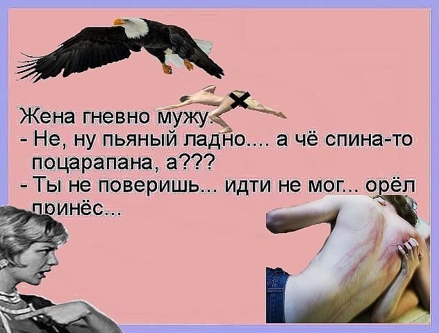 Шел орел. Орел принес. Идти не мог Орел принес. Картинки гневный муж. Анекдот орёл принёс.