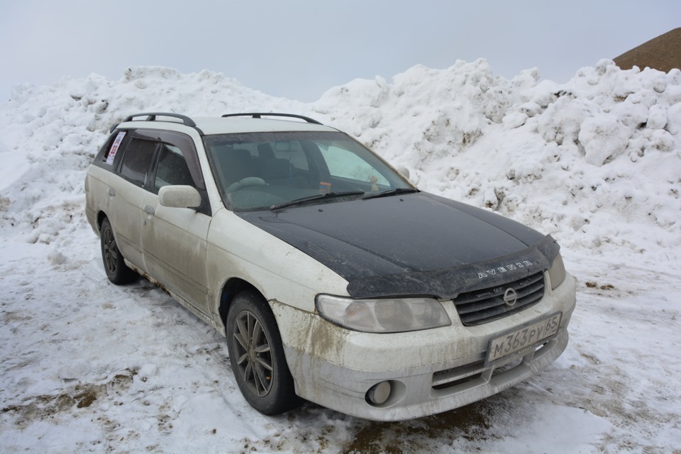 Ниссан авенир отзывы минусы и плюсы