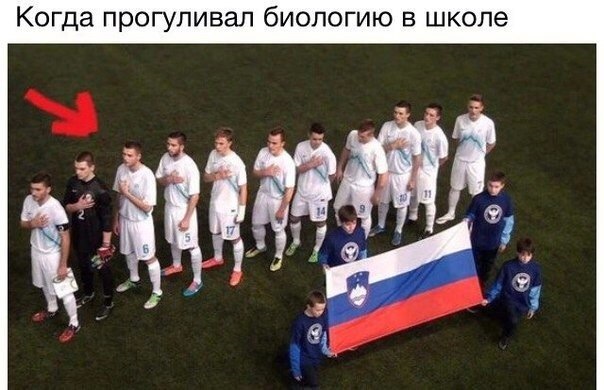 Биологические мемы про биологию смешные веселые моменты - Сообщество "Позитивов ☺ зы" на DRIVE2