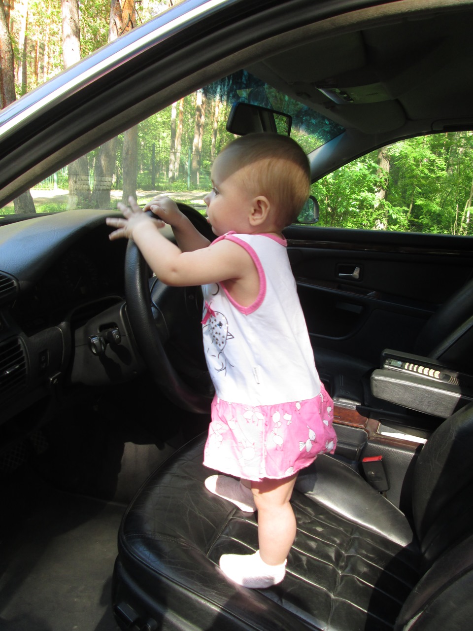 маленький водитель)) — Audi A8 (D2), 2,8 л, 1997 года | фотография | DRIVE2
