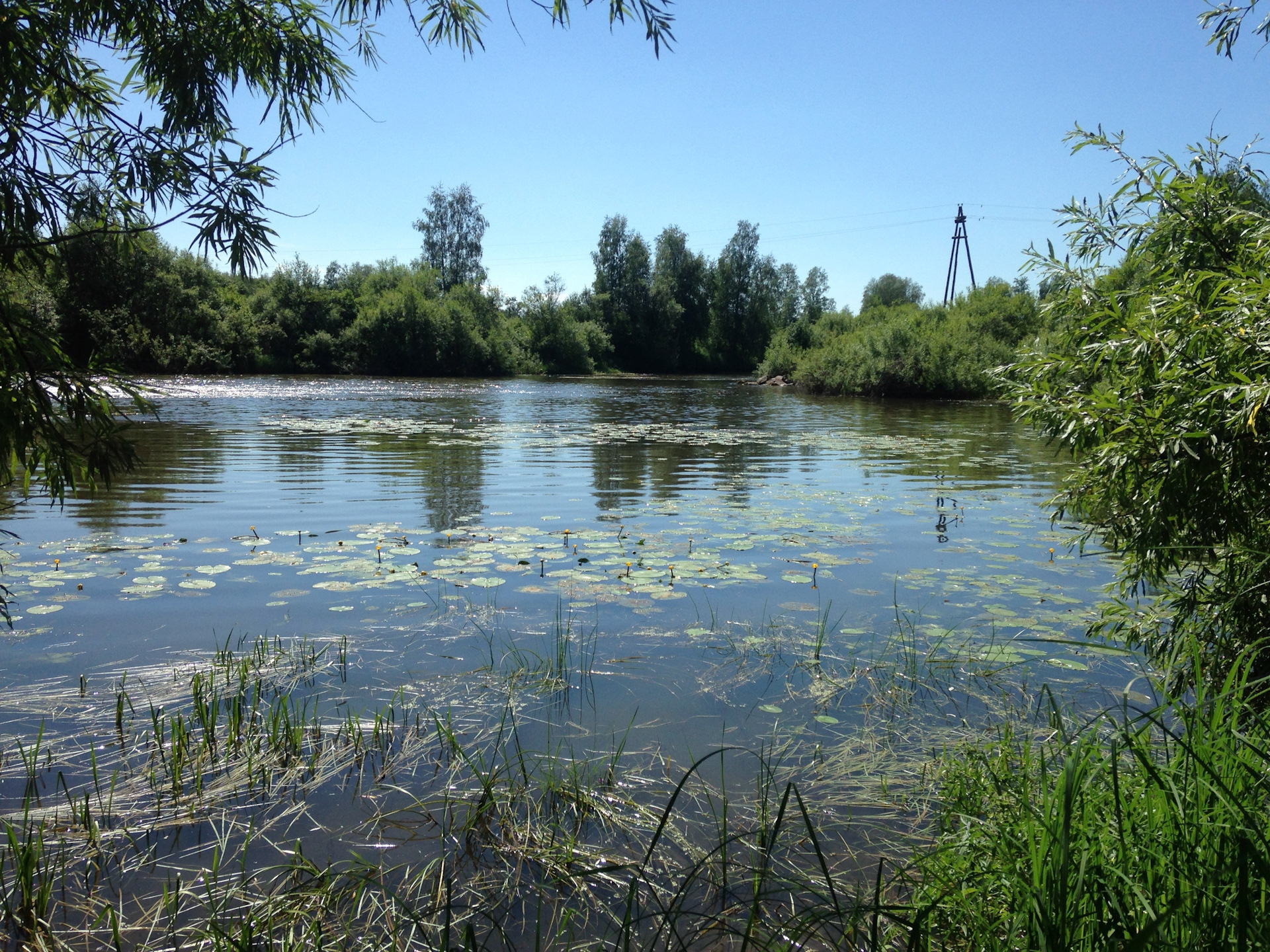 Погода в партизанском районе красноярского края. Река Рыбная Красноярский край. Село Рыбное Красноярский край река Рыбное. Рыбная речка Красноярск. Река Рыбная Уярский район.