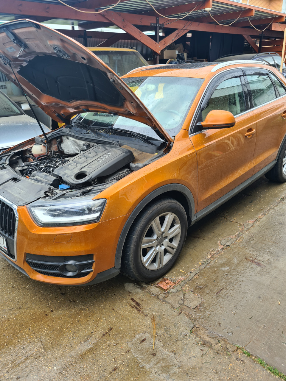 Фото в бортжурнале Audi A4 Avant (B8)