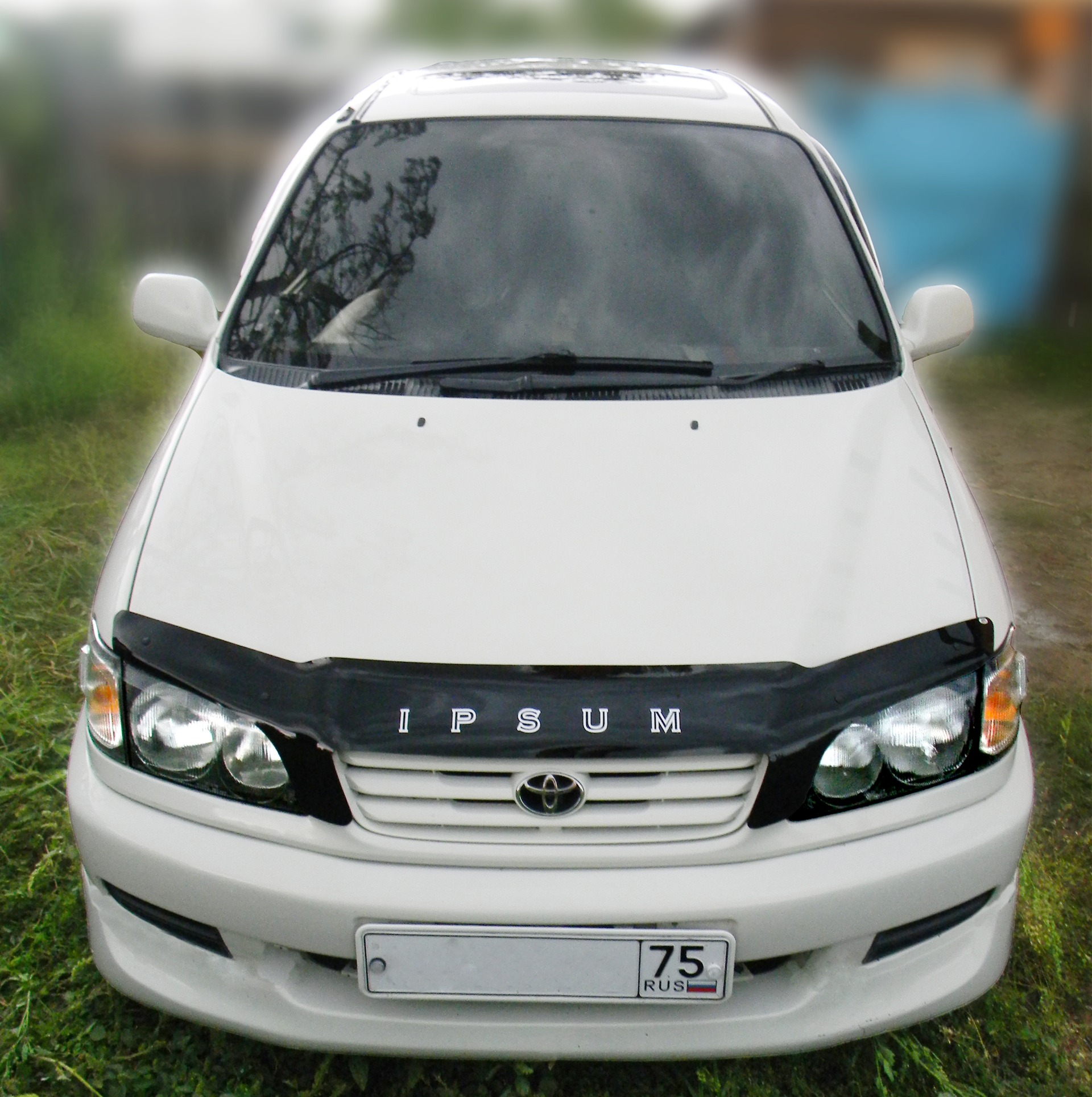     Toyota Ipsum 20 1998