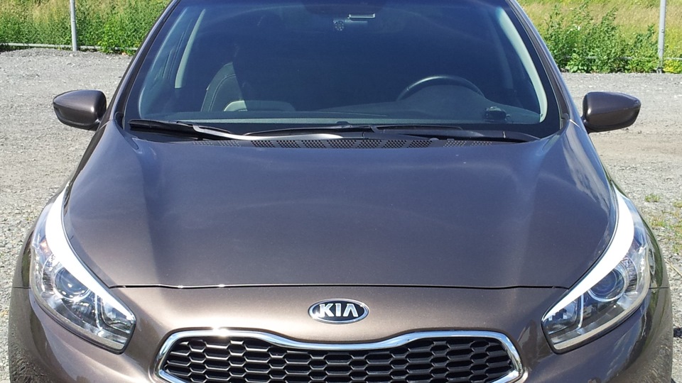 KIA Ceed Мой верный КЕД)))