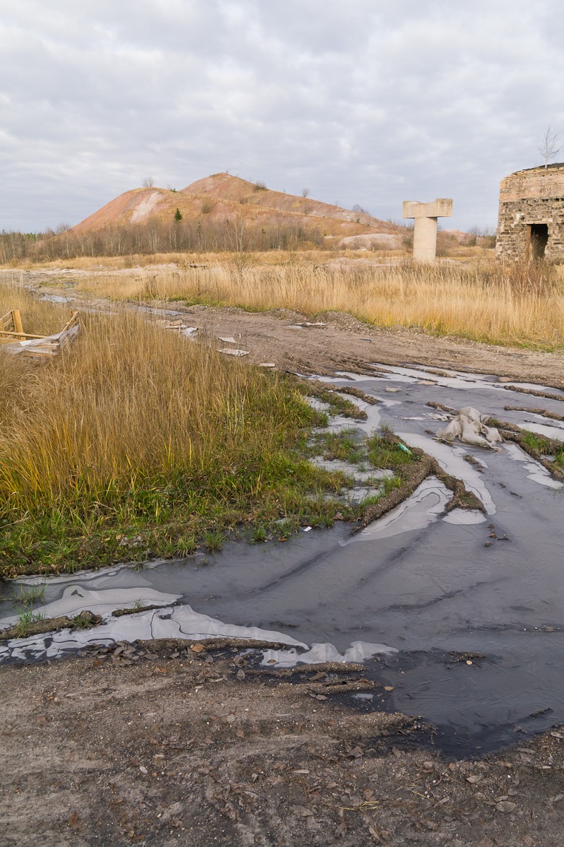 Зарубино новгородской