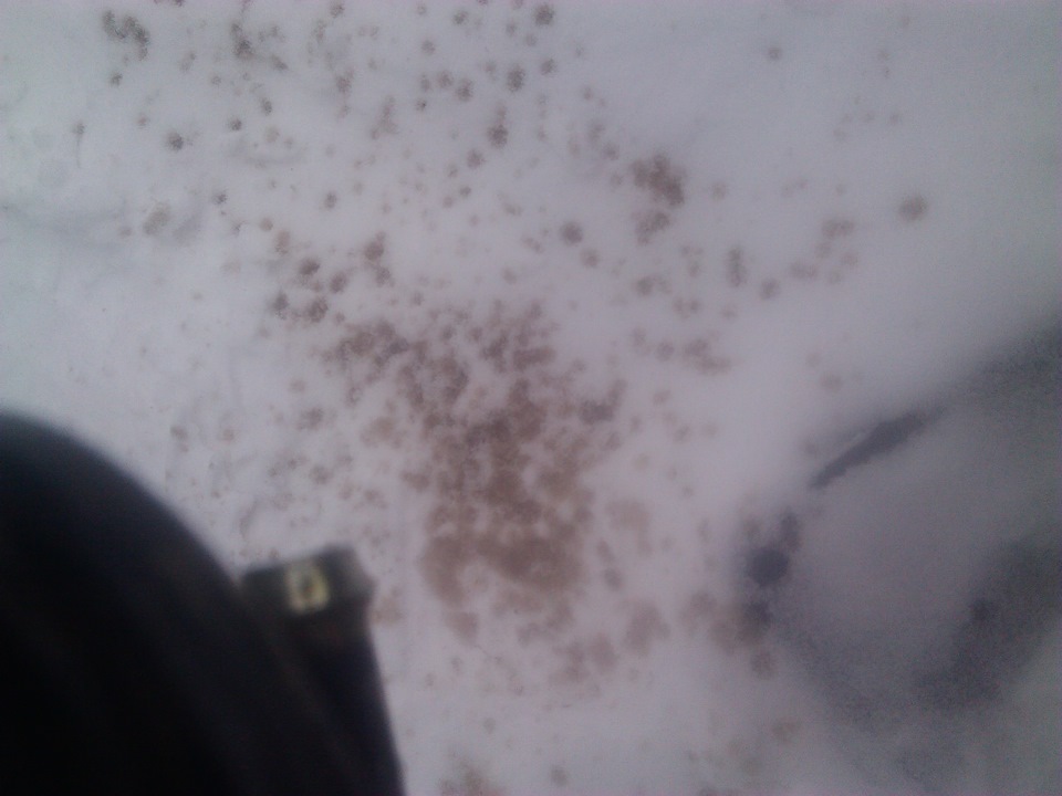 Замена топливного фильтра тонкой очистки — Mazda 626 IV (GE), 1,8 л ...