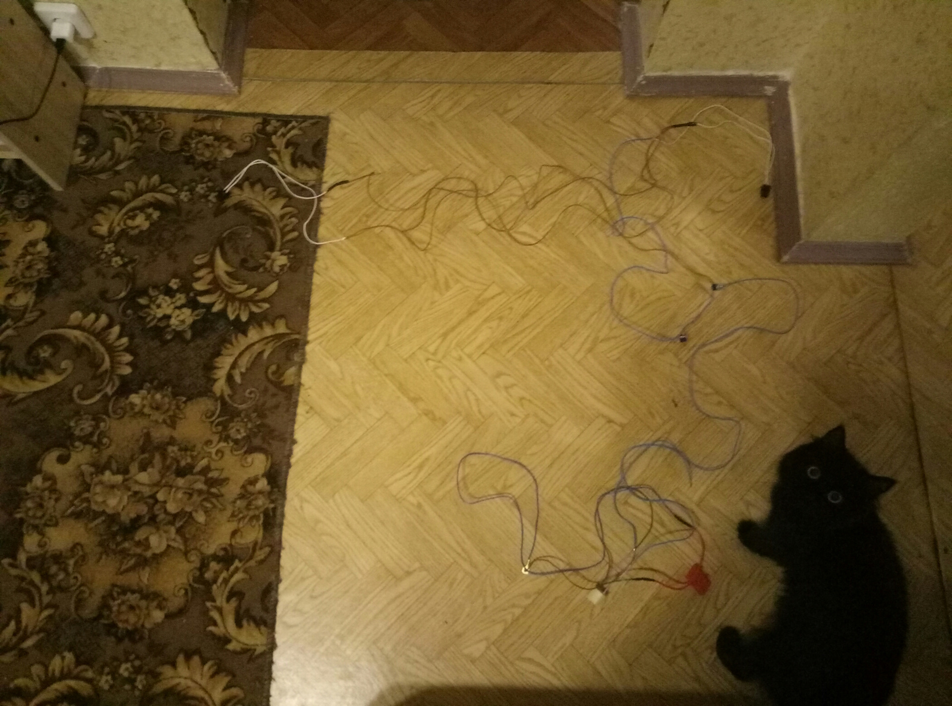 Проводка для подогрева сидений (без треугольника) — Smart fortwo (1G ...