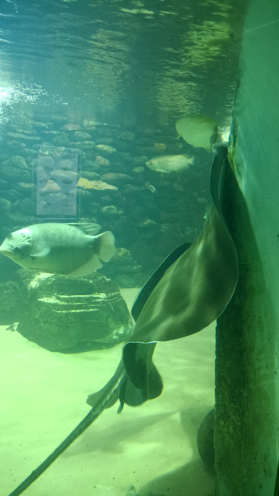 И снова Пенза))) — Daewoo Matiz (M100, M150), 0,8 л, 2012 года ...