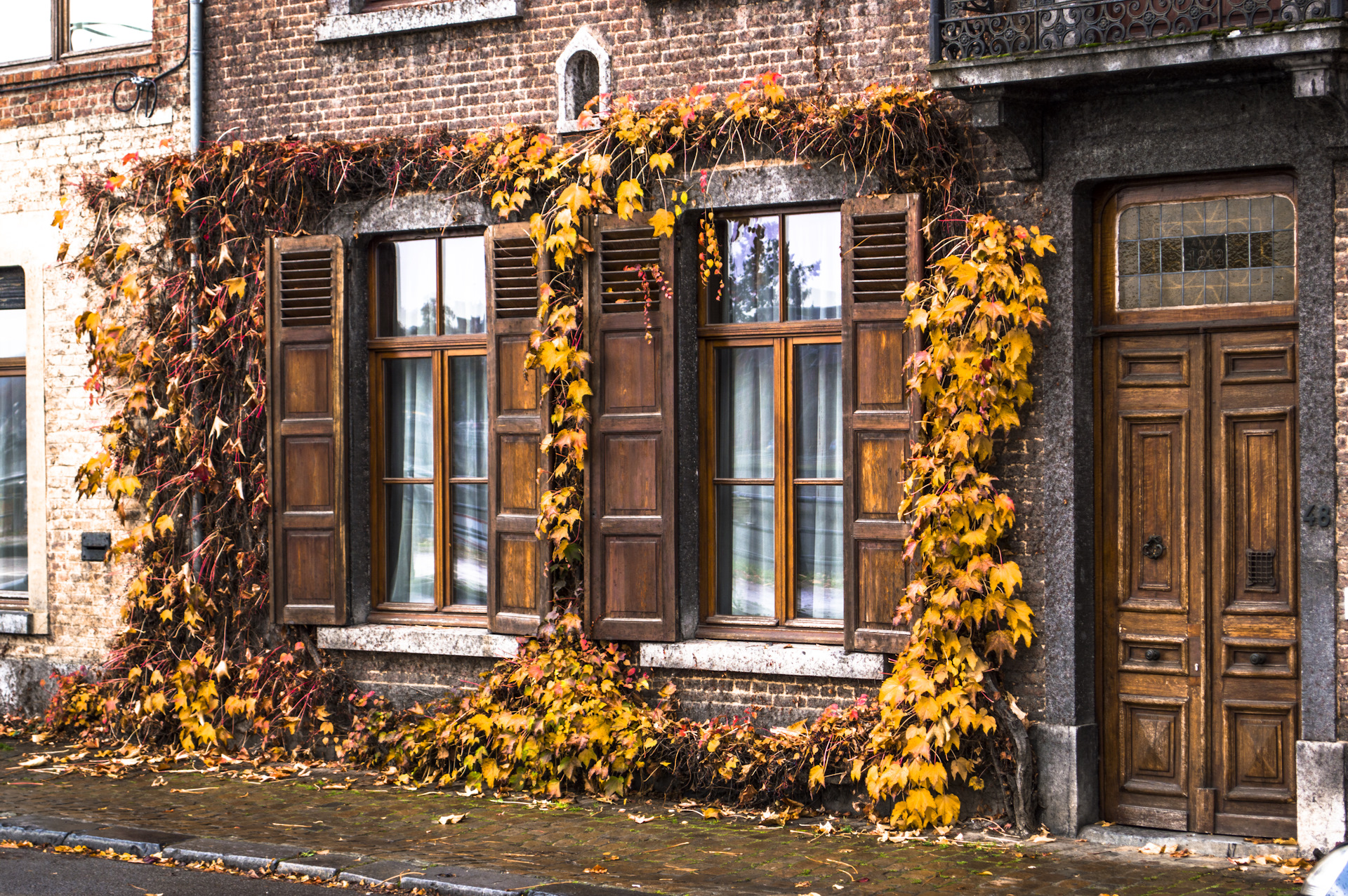 Дом на осенней улице. Кирпичный дом осень. Осень дом. Красивая стена дома осень. Фасады из листьев.