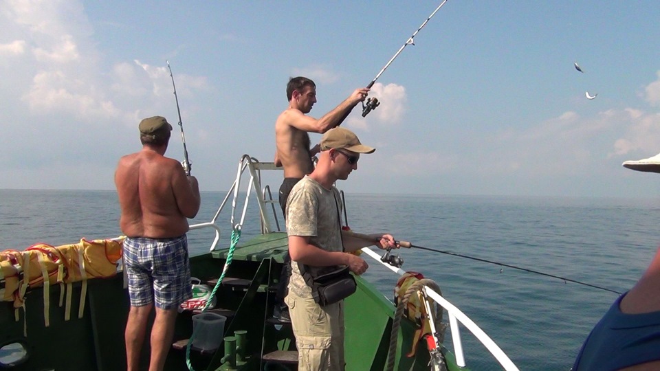 свежая рыба в дивноморском. Смотреть фото свежая рыба в дивноморском. Смотреть картинку свежая рыба в дивноморском. Картинка про свежая рыба в дивноморском. Фото свежая рыба в дивноморском свежая рыба в дивноморском. Смотреть фото свежая рыба в дивноморском. Смотреть картинку свежая рыба в дивноморском. Картинка про свежая рыба в дивноморском. Фото свежая рыба в дивноморском