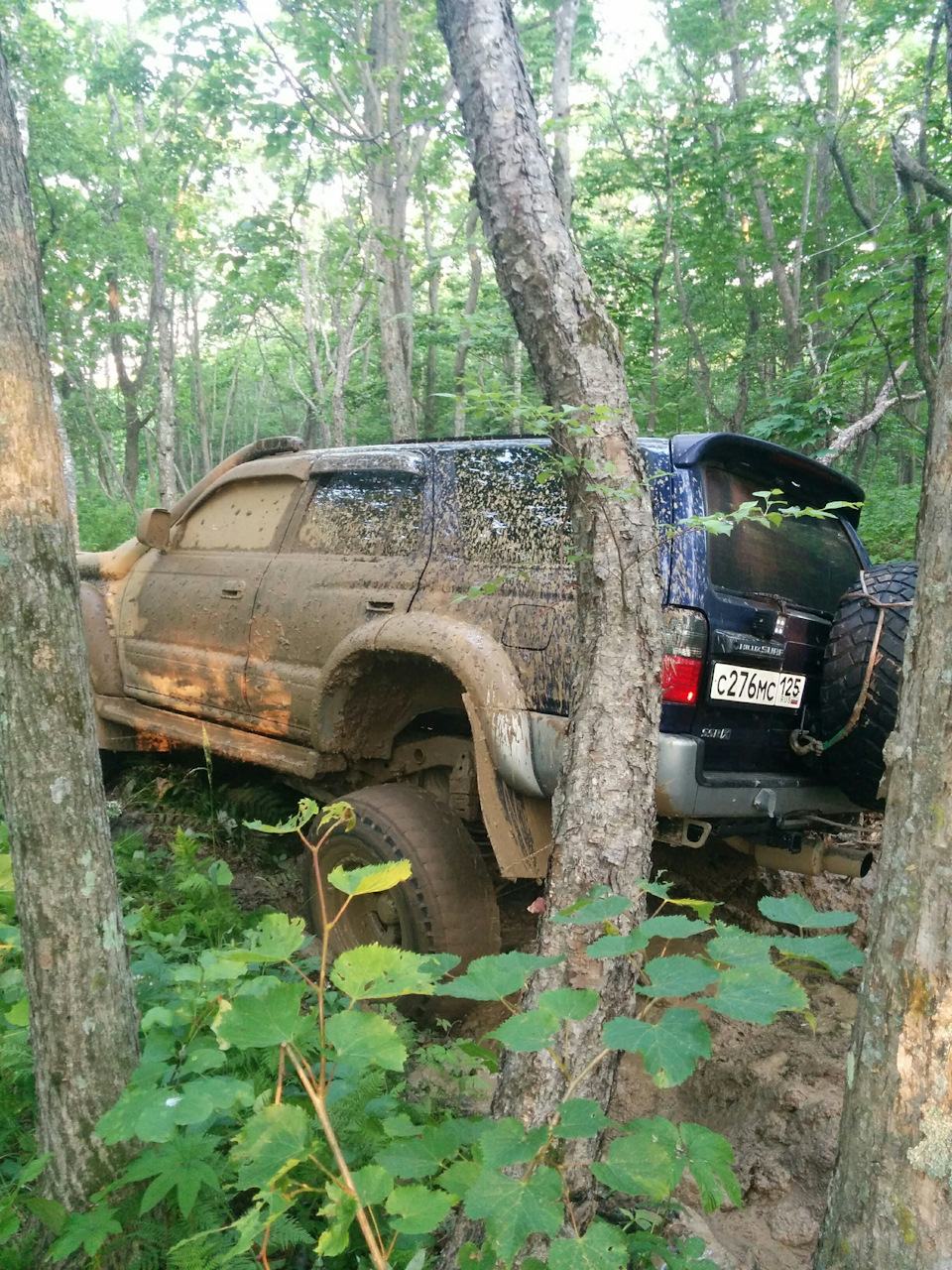 Прекрасная ночь, переходящая в замечательное утро — Toyota Hilux Surf (3G),  3 л, 1997 года | покатушки | DRIVE2