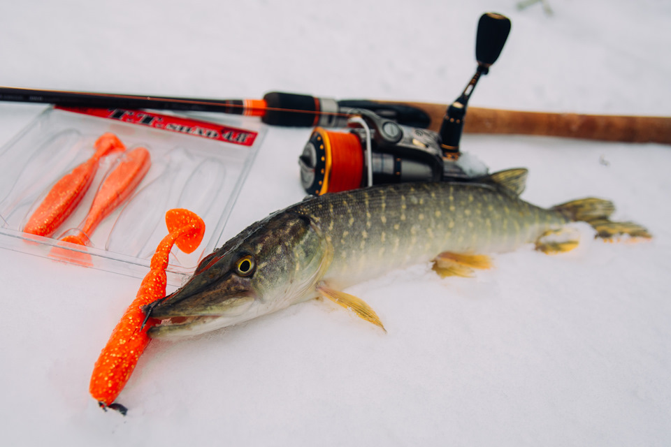 ловится ли рыба в снегопад. Смотреть фото ловится ли рыба в снегопад. Смотреть картинку ловится ли рыба в снегопад. Картинка про ловится ли рыба в снегопад. Фото ловится ли рыба в снегопад ловится ли рыба в снегопад. Смотреть фото ловится ли рыба в снегопад. Смотреть картинку ловится ли рыба в снегопад. Картинка про ловится ли рыба в снегопад. Фото ловится ли рыба в снегопад