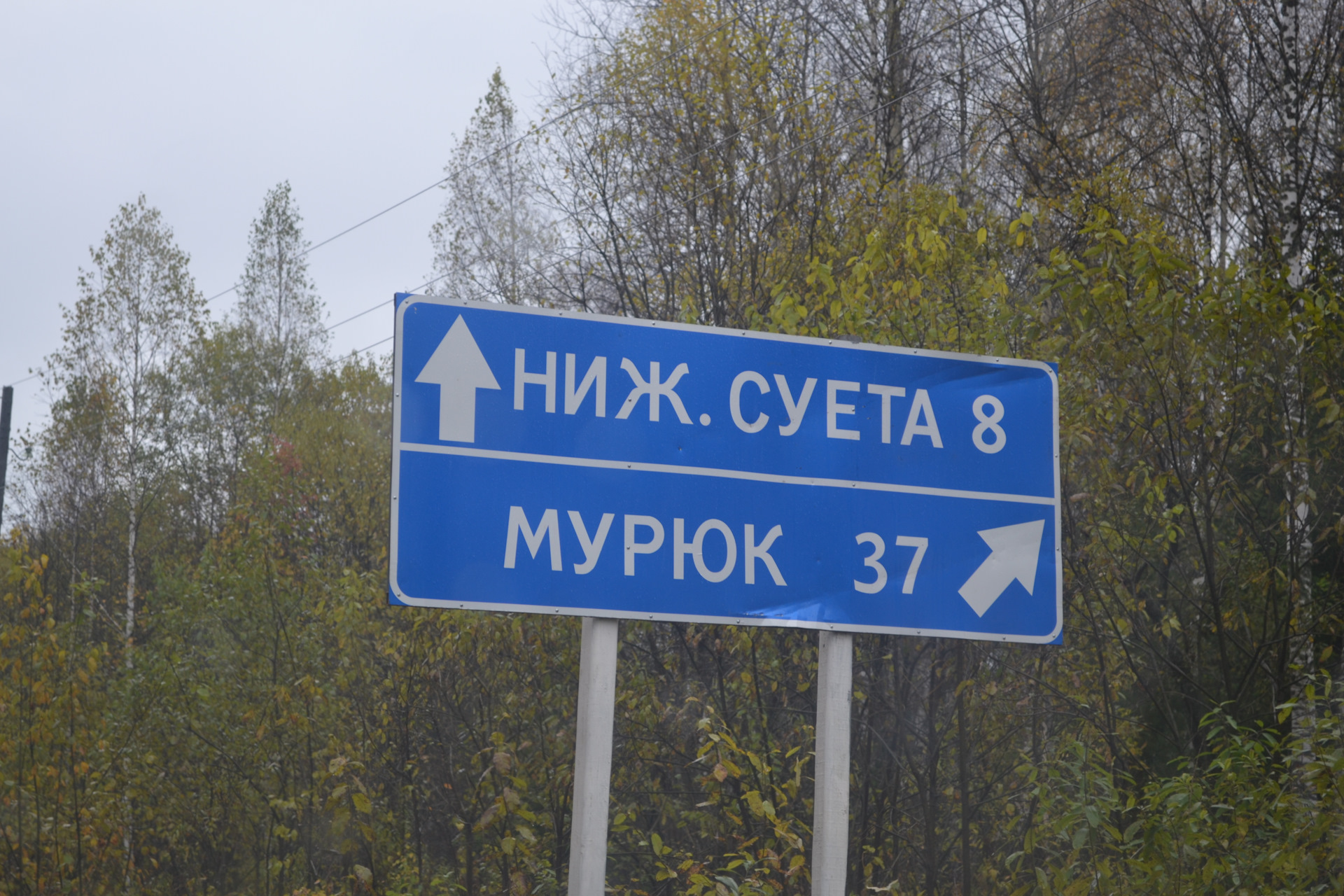 Золотой китат кемеровская область карта