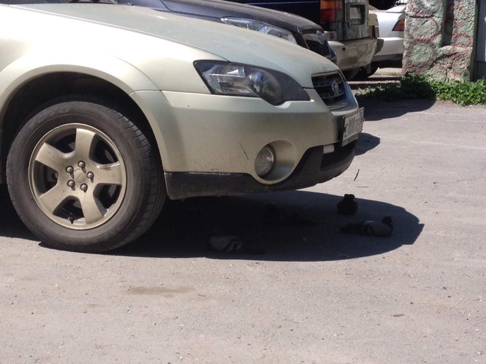 и друг степей калмык — Subaru Outback (BP), 3 л, 2003 года | прикол ...