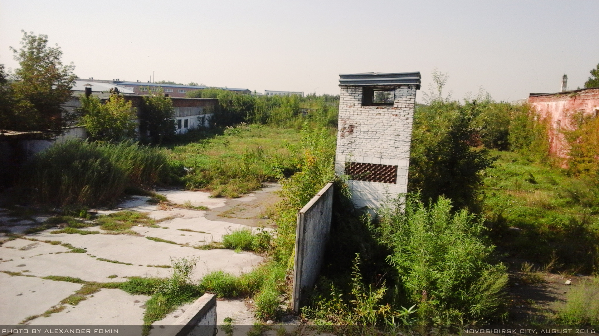 Дисбат в совгавани