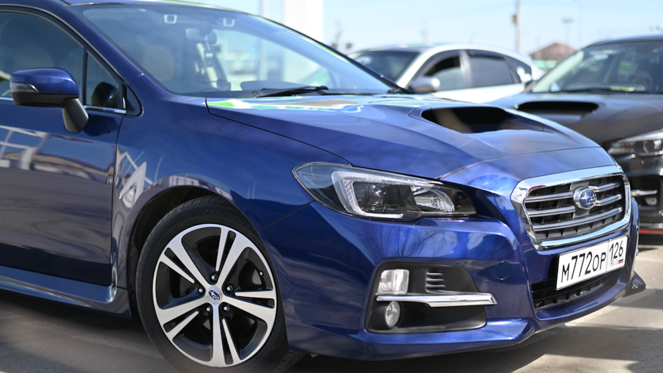 Subaru Levorg (1G) 1.6 бензиновый 2016 | на DRIVE2