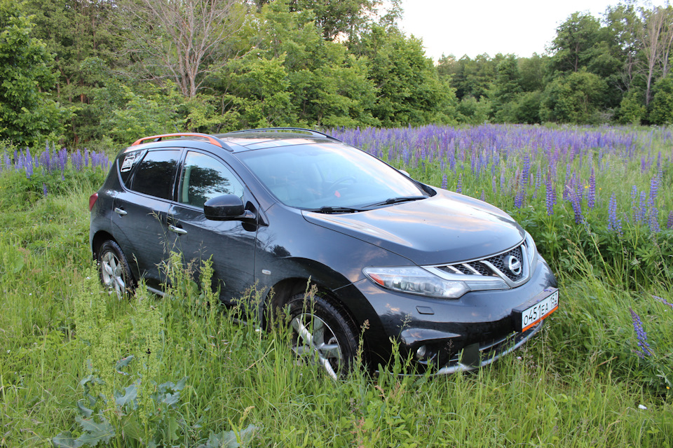 Трава выше или Мурано? — DRIVE2