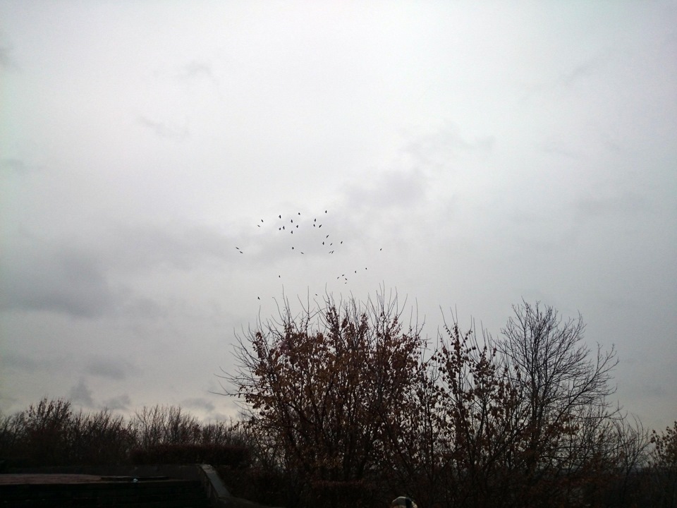 покровский собор в брянске. efade3as 960. покровский собор в брянске фото. покровский собор в брянске-efade3as 960. картинка покровский собор в брянске. картинка efade3as 960. покровский собор в брянске. efade3as 960. покровский собор в брянске фото. покровский собор в брянске-efade3as 960. картинка покровский собор в брянске. картинка efade3as 960.