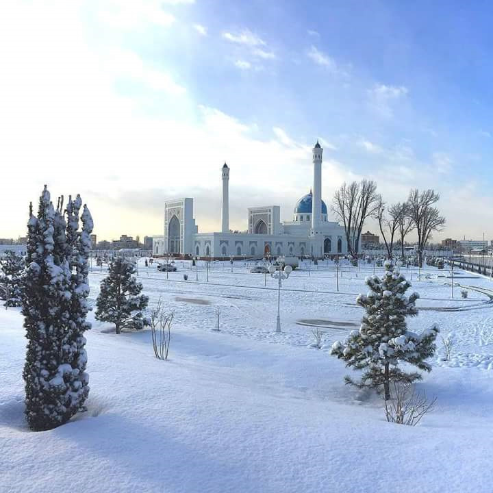 Фото зима в узбекистане