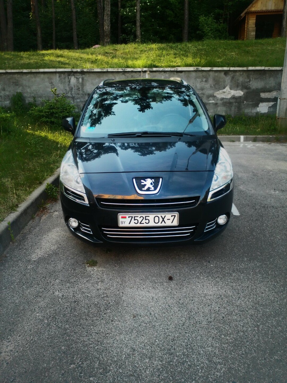 Морозко — Peugeot 5008 (1G), 1,6 л, 2010 года | расходники | DRIVE2