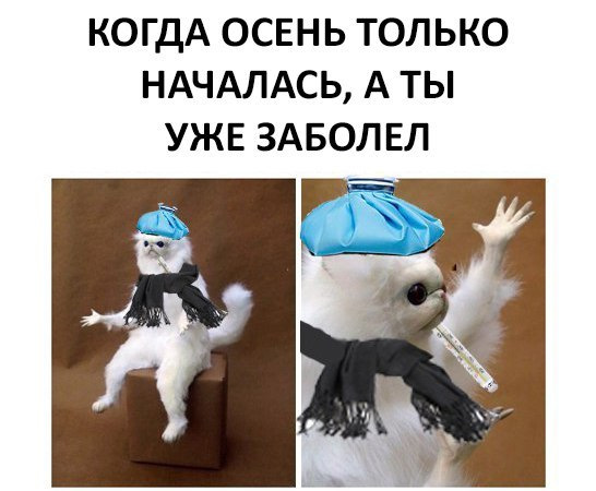 Заболел перед новым годом мем