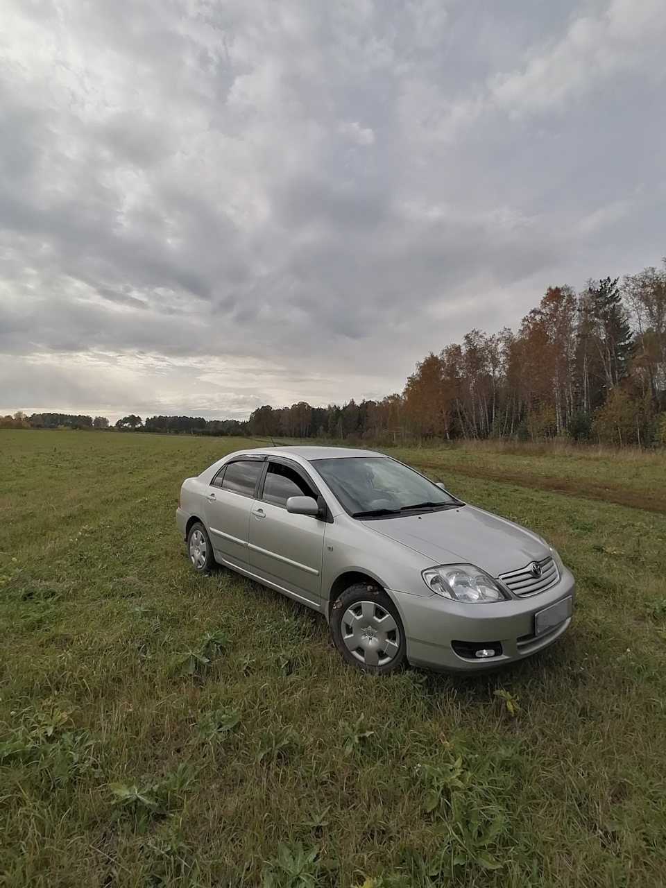 Осень, игра красок. — Toyota Corolla (120), 1,4 л, 2006 года | просто так |  DRIVE2